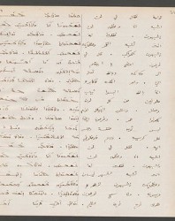 Cod. Sach. 339 Images-075