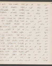 Cod. Sach. 339 Images-079