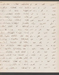 Cod. Sach. 339 Images-081