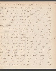 Cod. Sach. 339 Images-089
