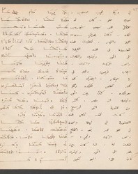 Cod. Sach. 339 Images-093