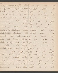 Cod. Sach. 339 Images-095