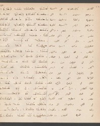 Cod. Sach. 339 Images-097