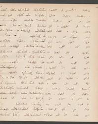 Cod. Sach. 339 Images-099