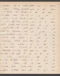 Cod. Sach. 339 Images-103