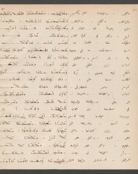 Cod. Sach. 339 Images-105