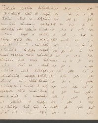 Cod. Sach. 339 Images-109