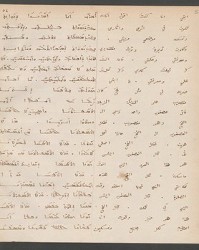Cod. Sach. 339 Images-111