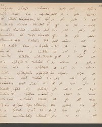 Cod. Sach. 339 Images-113