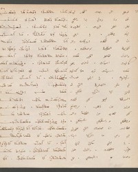 Cod. Sach. 339 Images-115