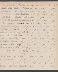 Cod. Sach. 339 Images-117