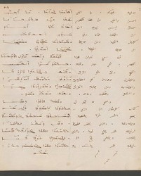 Cod. Sach. 339 Images-121