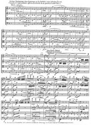 Beethoven_Streichquartett. Opus 132 dritter Satz