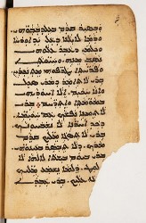 SYRIAQUE 422-013