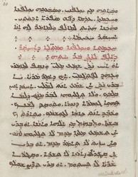 Sachau_336_20r