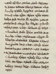 Sachau_336_24v