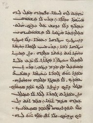 sachau_336_25r