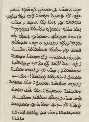 sachau_336_25v