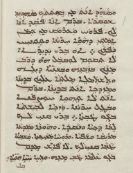 Sachau_336_28v