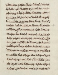 Sachau_336_29v