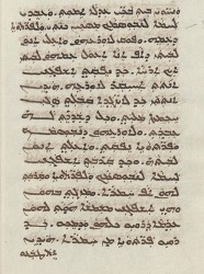 Sachau_336_33v