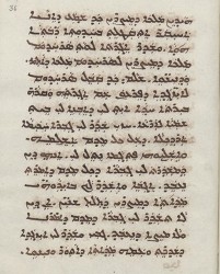 Sachau_336_36r