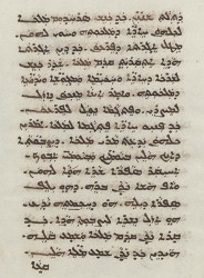 Sachau_336_36v