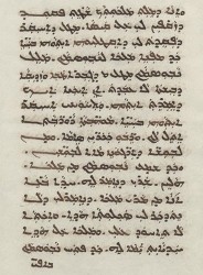 Sachau_336_37v