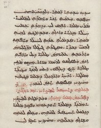 Sachau_336_40r