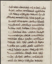 Sachau_336_41r