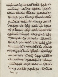 Sachau_336_41v