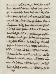 Sachau_336_43v