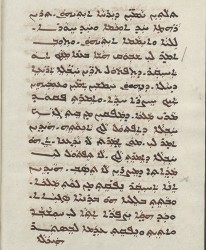 Sachau_336_46v