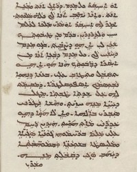 Sachau_336_48v
