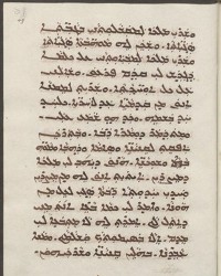 Sachau_336_49r