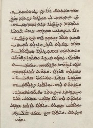 Sachau_336_49v