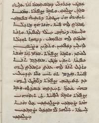 Sachau_336_50v