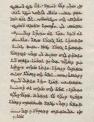Sachau_336_53v