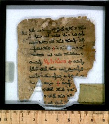 g1_n216rectototal