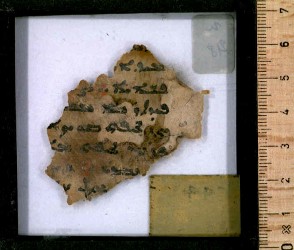 g2_n218side2total