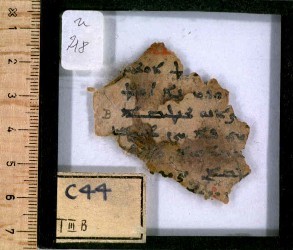 h2_n218side1total
