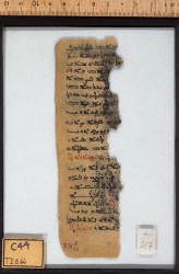 Ahiqar_n217_recto