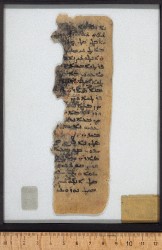 Ahiqar_n217_verso