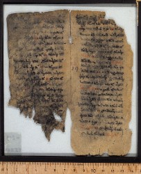 Ahiqar_n219_seite2