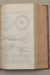 topo-helv-page-0201