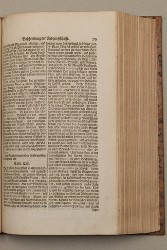 topo-helv-page-0271