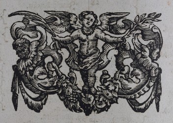topo-hass-figu-0131