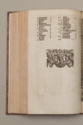topo-hass-page-0308