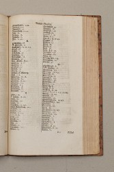 topo-hass-page-0303