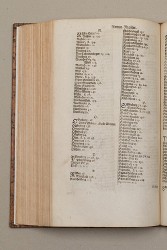 topo-hass-page-0304